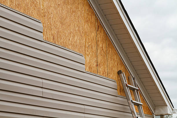 Professional Siding Repair technician working in Yorktown, VA